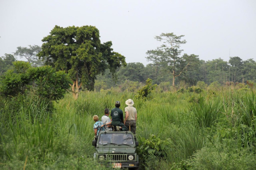 Chitwan Jungel Safari by Jeep