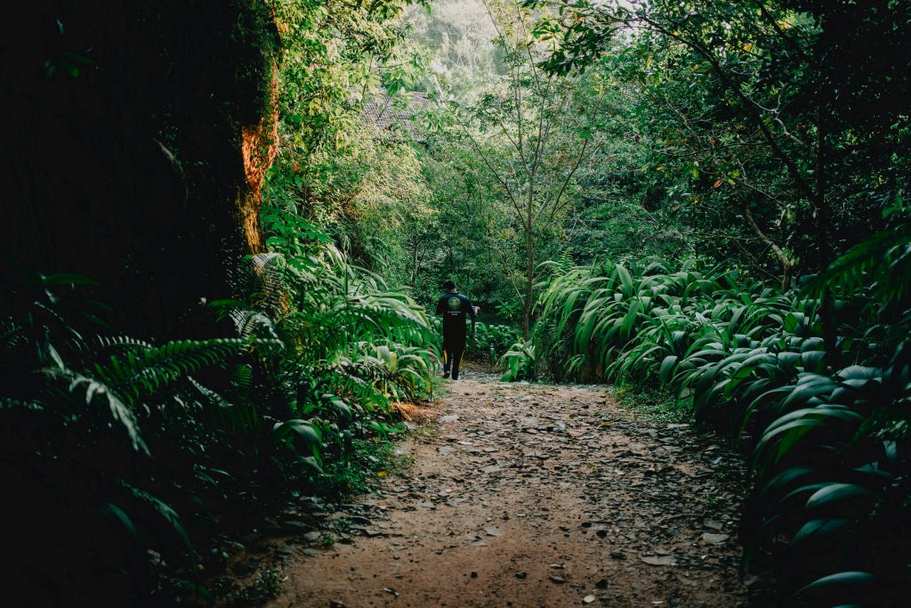 Manaslu Conservation Area