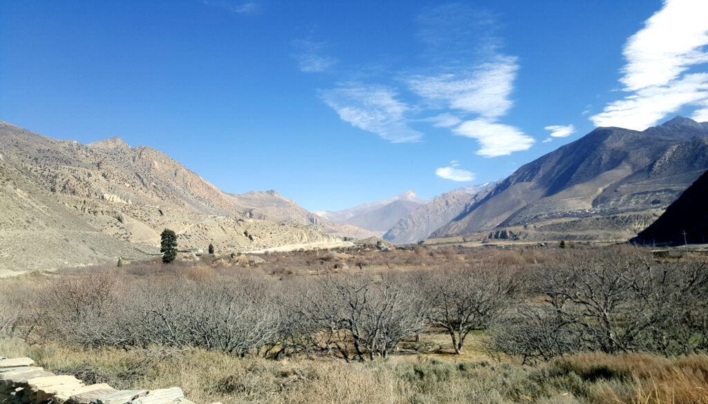 Landscape of Mustang Valley 