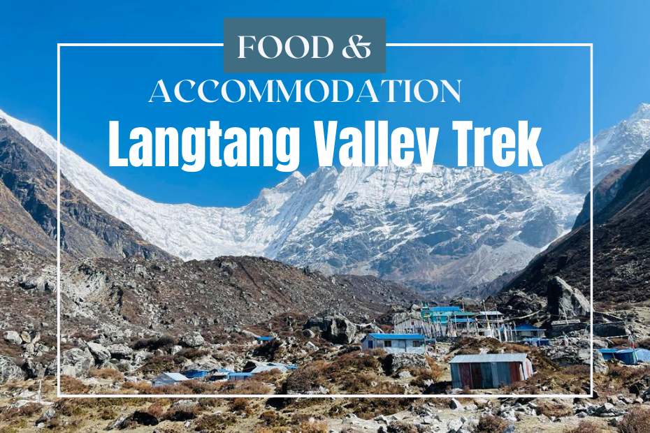 Food and Accommodation in Langtang Valley Trek