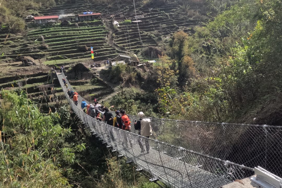 Bamboo to Jhinu Danda