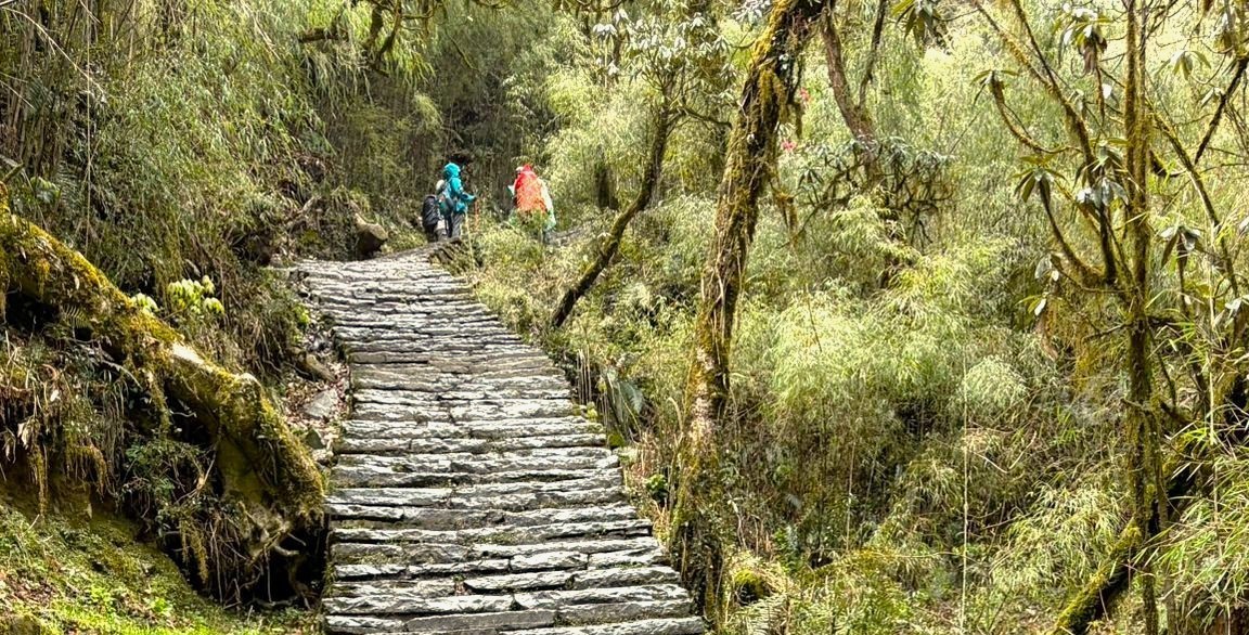 The Endless Stairs of the Annapurna Base Camp Trek