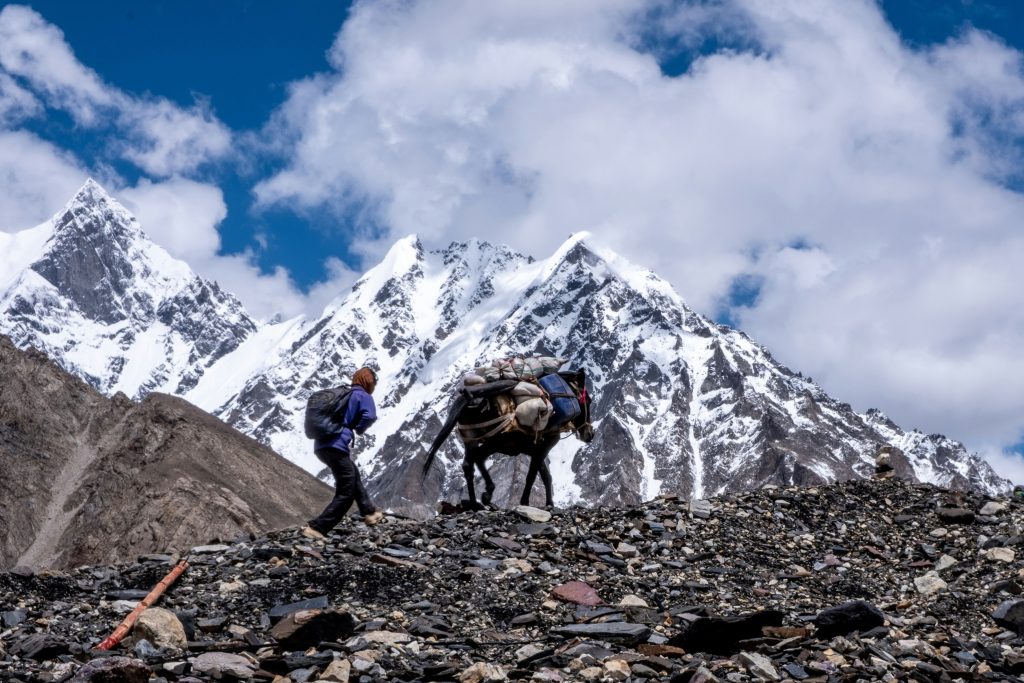 Hire Guide And Porter For Manaslu Circuit Trek at Best Price