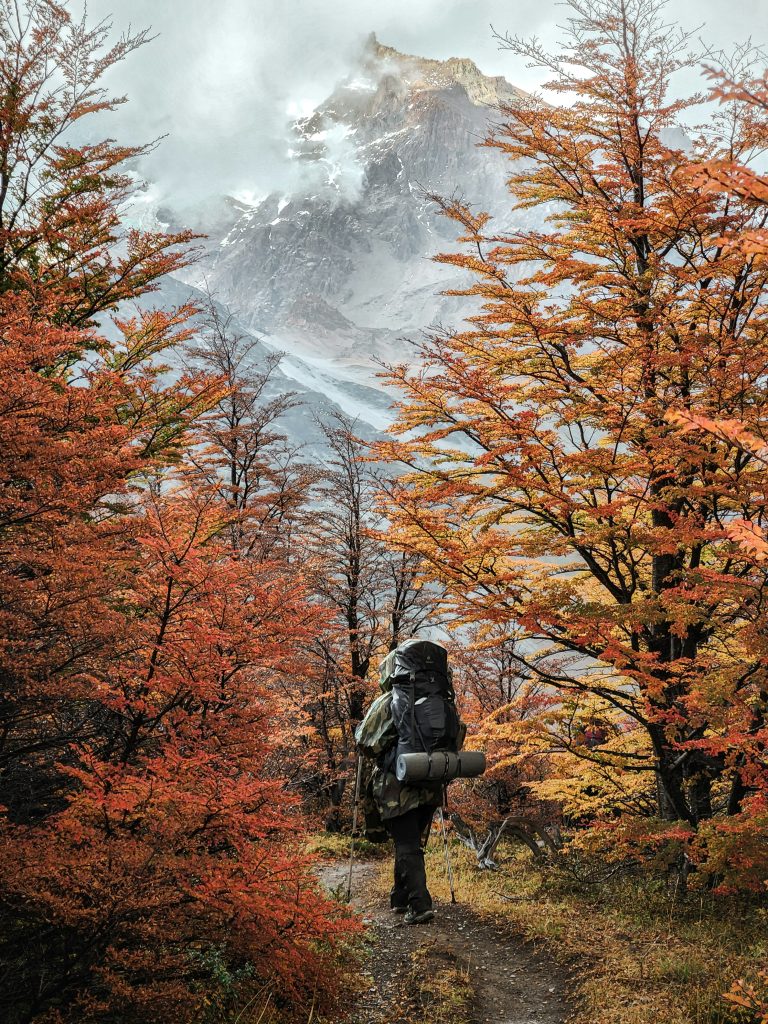 Guide and Porter Hiring For Annapurna Base Camp Trek