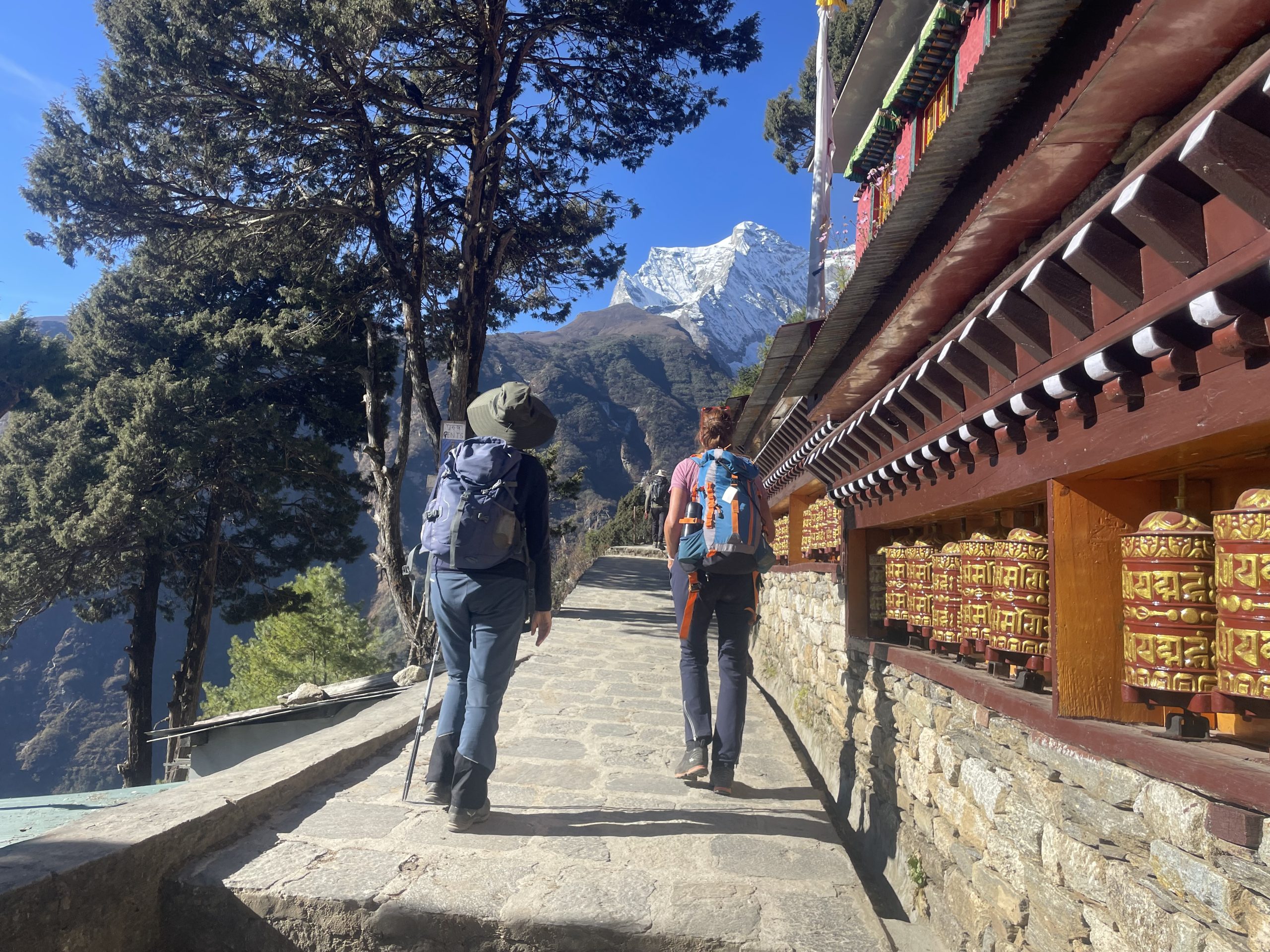 ebc gokyo chola pass trek