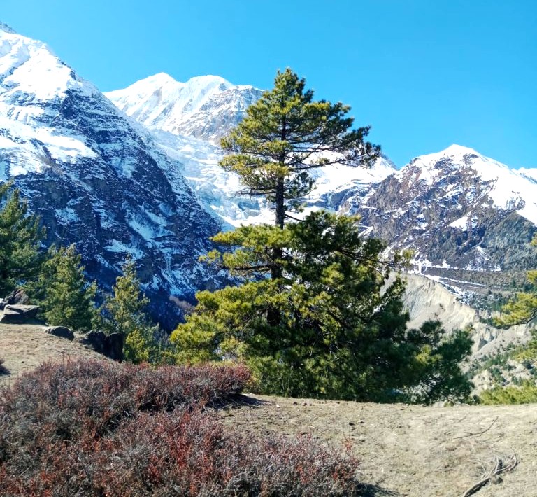 View from Manang