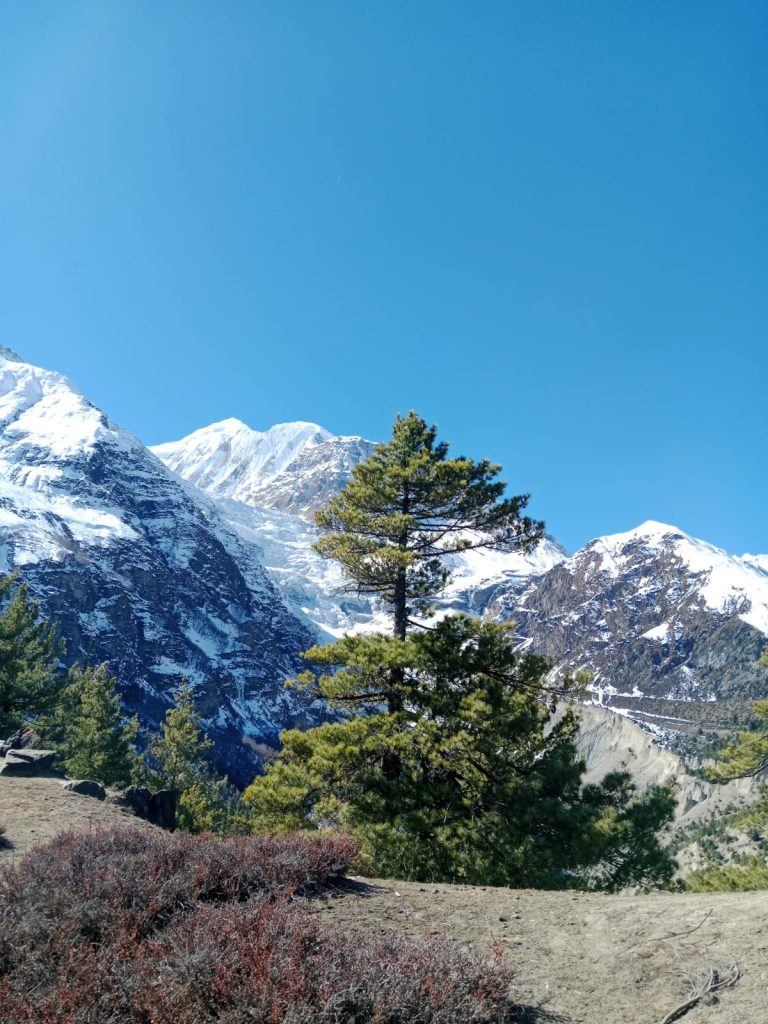 Manang hike