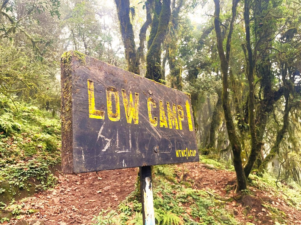 Low Camp - Mardi Himal Trek