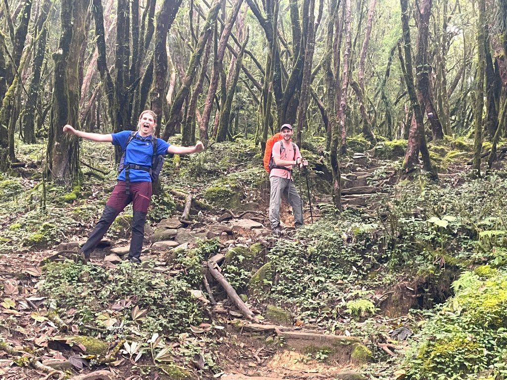 Mardi Himal Forest Trail