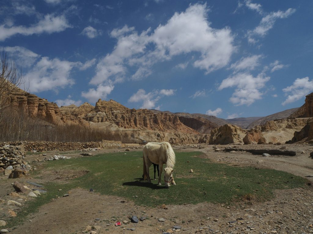 How to Plan the Perfect Upper Mustang Trek: Ultimate Guide