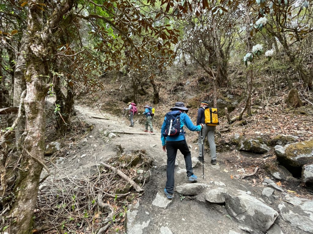 Langtang trek in Spring
