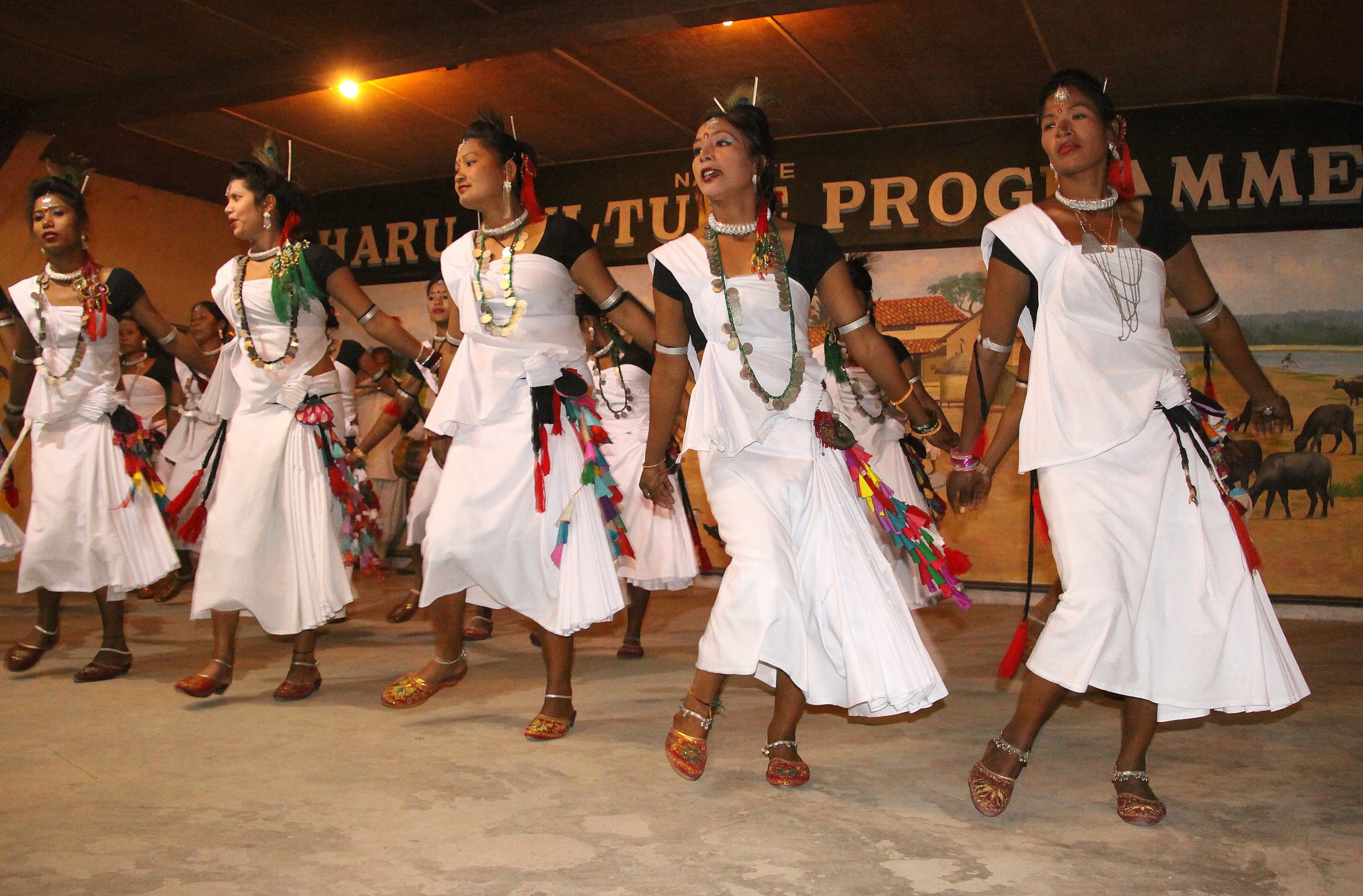 Chitwan - Tharu culture