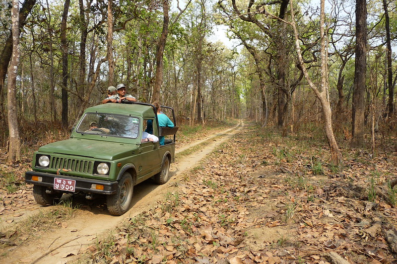 Jeep Safari - Royal Chitwan Park - Nepal