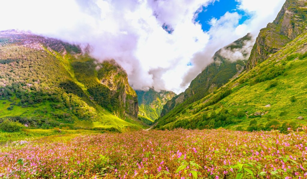 Valley of Flowers