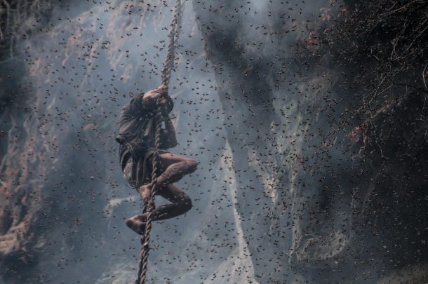 Mad honey hunting on a Himalayan cliff in Nepal