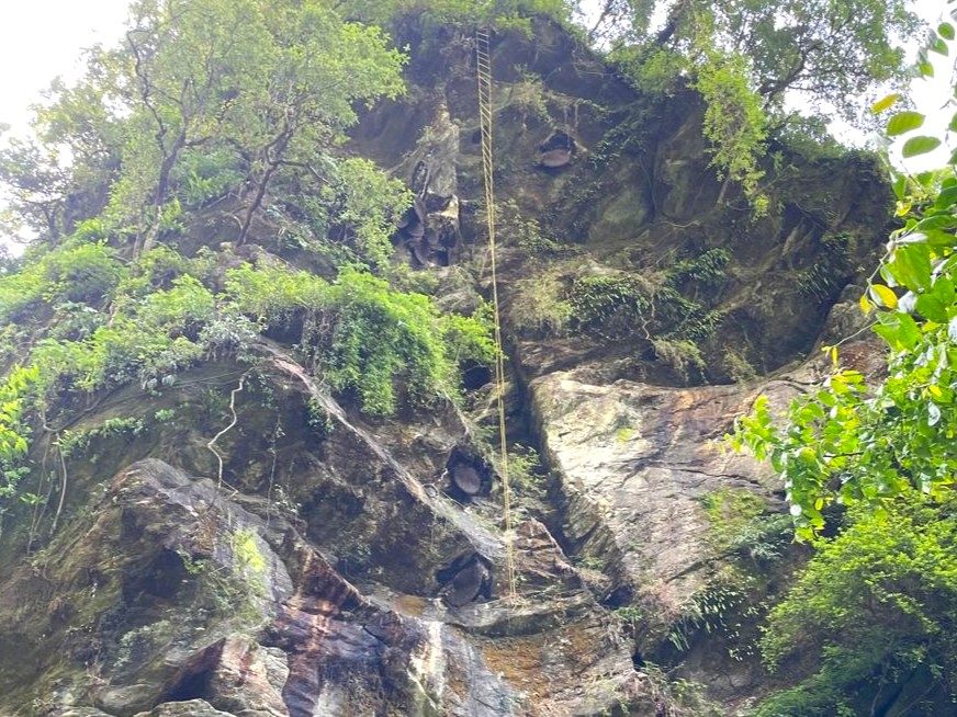 Mad Honey Nepal: Himalayan Honey, Effects & Honey Hunting 6 Traditional ladder setup used by honey hunters